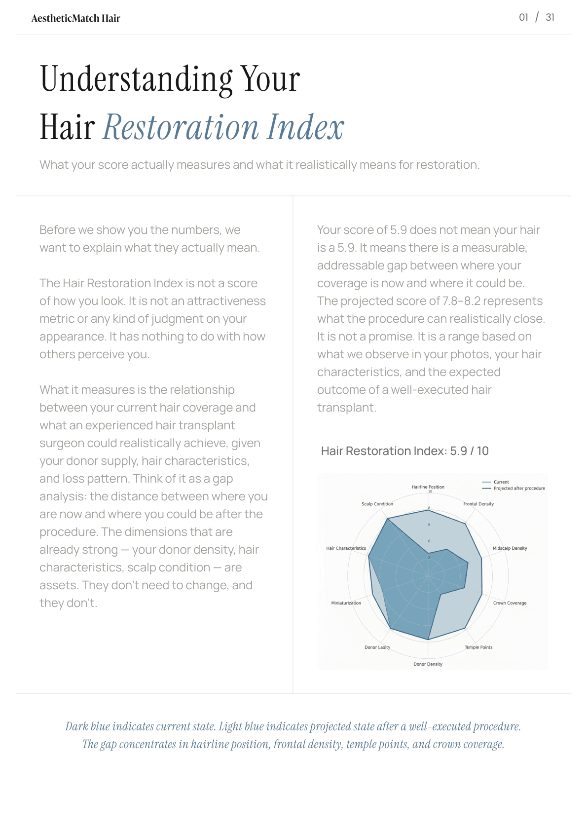 Sample clinical report — Hair Restoration Index